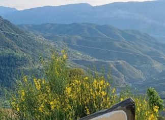 Πλατεία «Μίκης Θεοδωράκης» στα Κέδρα kedra