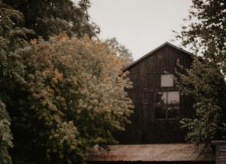 pexels emma bauso 1183828 3585812