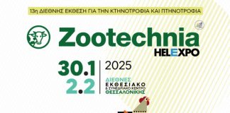 zootechnia