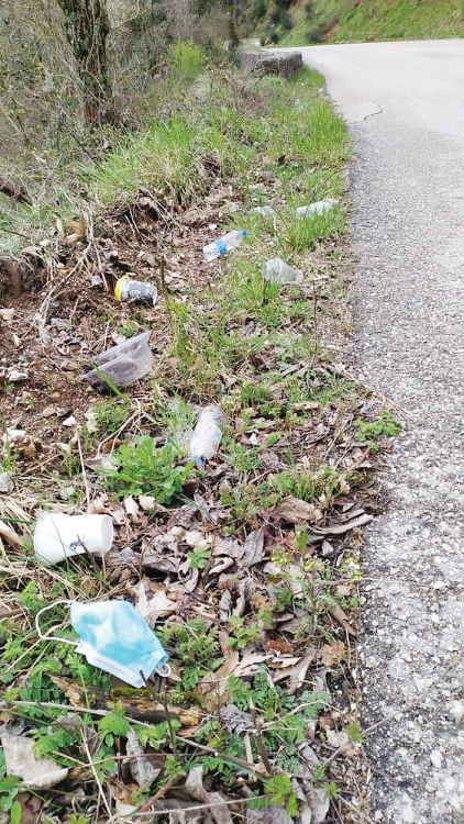 ΑΞΟΝΑΣ ΚΑΡΠΕΝΗΣΙ ΑΓΡΑΦΑ