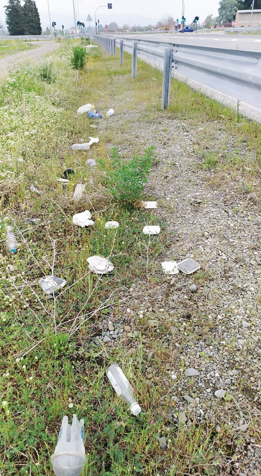 ΑΞΟΝΑΣ ΛΑΜΙΑ ΚΑΡΠΕΝΗΣΙ