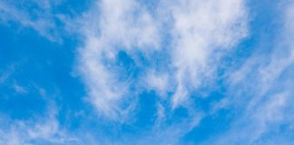 pexels allan carvalho 264847051 17336467