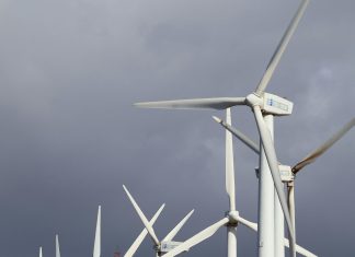 pexels cristobal garcia 2148846098 31083937