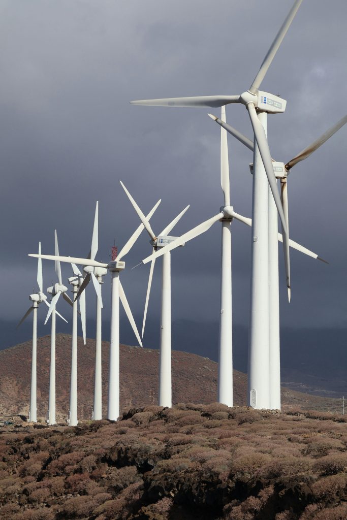 pexels cristobal garcia 2148846098 31083937