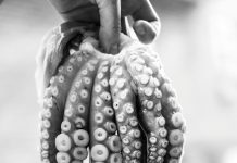 pexels elletakesphotos 1321125