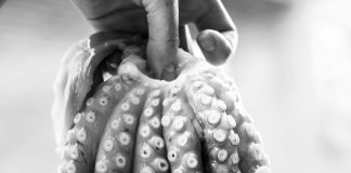 pexels elletakesphotos 1321125