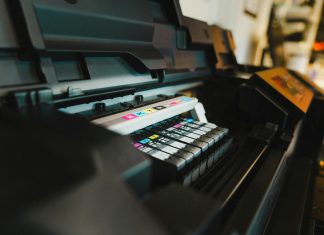 pexels jakubzerdzicki 17536002