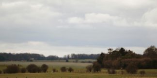 pexels leefinvrede 31147793