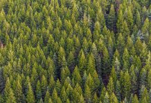 pexels matthew montrone 230847 1179229