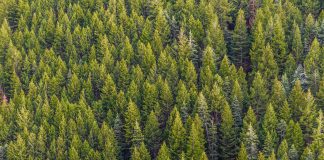 pexels matthew montrone 230847 1179229