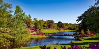 pexels pixabay 158063