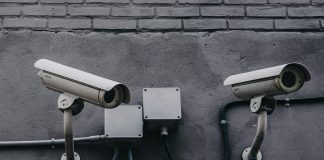 pexels scottwebb 430208