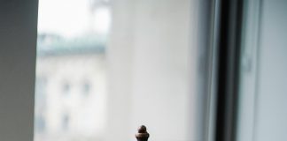 pexels sora shimazaki 5669602