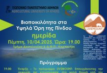 489267701 1112369420904853 1641720199103285258 n