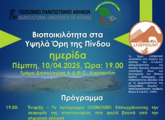 489267701 1112369420904853 1641720199103285258 n