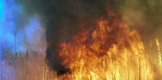 800px northwest crown fire experiment