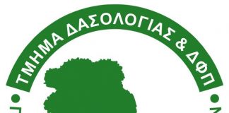 dasolo