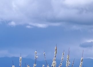 Υπάρχουν κάποιοι που βάζουν πυρκαγιές… kardampikis makas