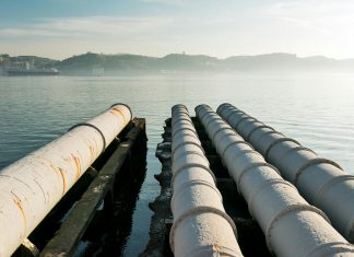 pexels abzortu 7721338