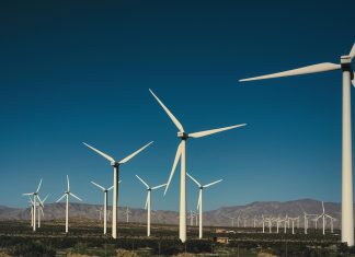 pexels alfomedeiros 15268778