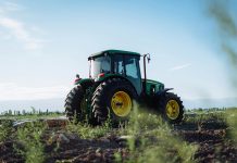 pexels andres alaniz 461433202 29465456