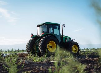 pexels andres alaniz 461433202 29465456