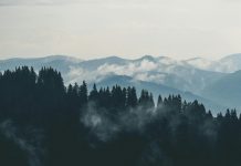 pexels creative vix 9754 1