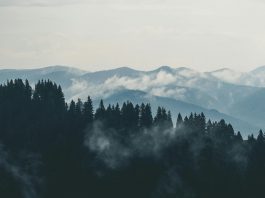 pexels creative vix 9754 1