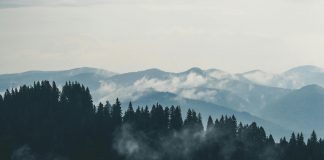 pexels creative vix 9754 1