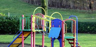 pexels inspiredimages 133458