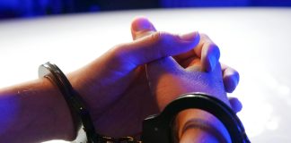 pexels kindelmedia 7773266