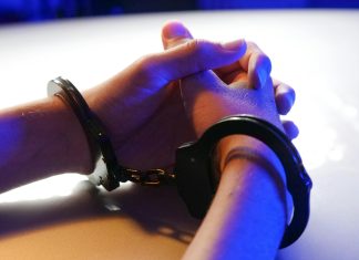 pexels kindelmedia 7773266