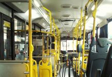 pexels marcelo moreira 988124 2261702