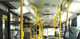 pexels marcelo moreira 988124 2261702