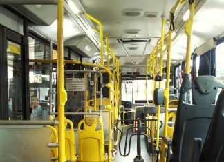 pexels marcelo moreira 988124 2261702