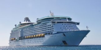 pexels matthew barra 178916 813011