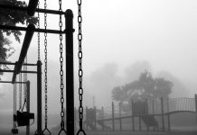 pexels uglyshirt 908970 1