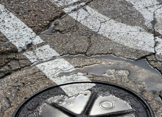 pexels victormoragriega 29143762