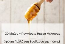 honey 2