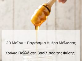 honey 2