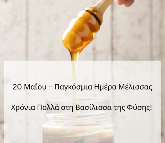 honey 2