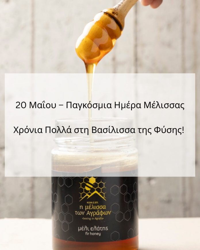 honey 2 honey 2