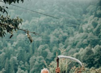 pexels ali senol 85163744 9387427