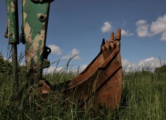 pexels christina99999 32112822