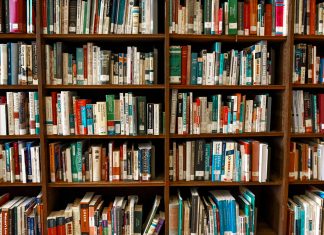 pexels element5 1370295