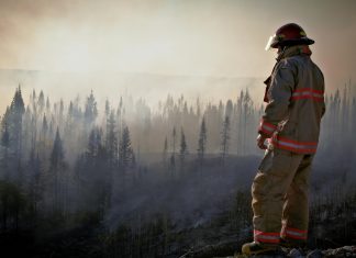 9 άτομα προσέλαβε ο Δήμος Αγράφων για πυρασφάλεια – πυροπροστασία pexels islandhopper x 339537771 14840720 1