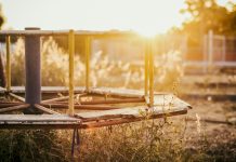 pexels levi damasceno 169031 571249