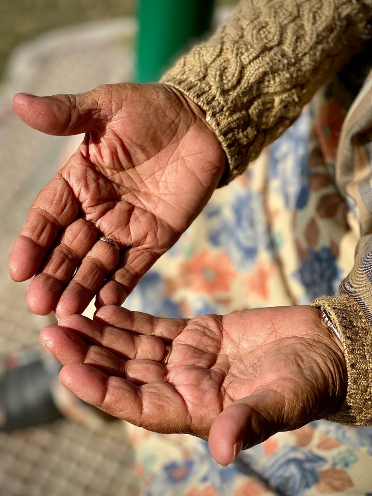 pexels nishantaneja 15293752