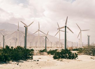 pexels rickyrecap 3877660