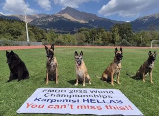 Το Καρπενήσι ξανά στο παγκόσμιο προσκήνιο: Παγκόσμιο Πρωτάθλημα Βελγικών Ποιμενικών 2025 poimen